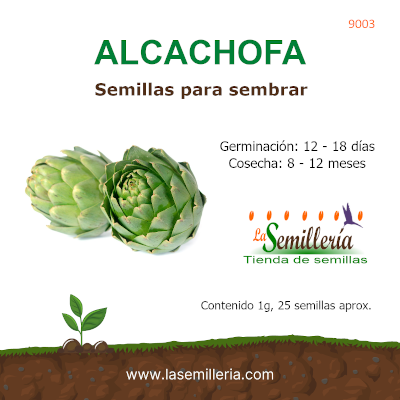 Foto de Sobre de Semillas de Alcachofa