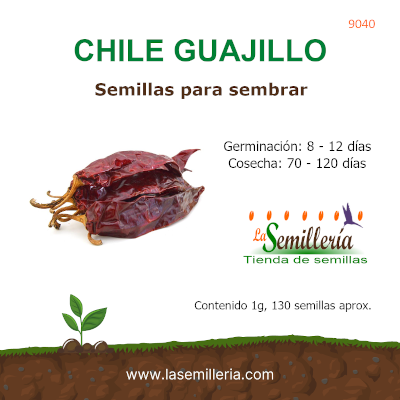 Foto de Sobre de Semillas de Chile Guajillo