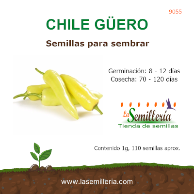 Foto de Sobre de Semillas de Chile Güero