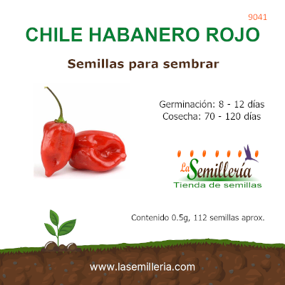 Foto de Sobre de Semillas de Chile Habanero