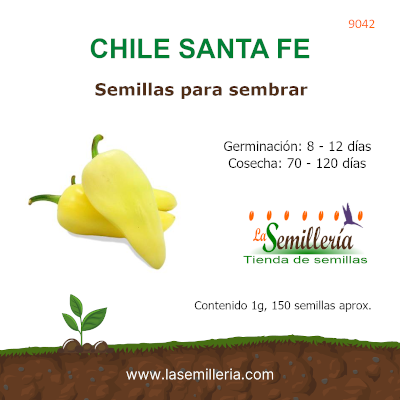 Foto de Sobre de Semillas de Chile Santa Fe
