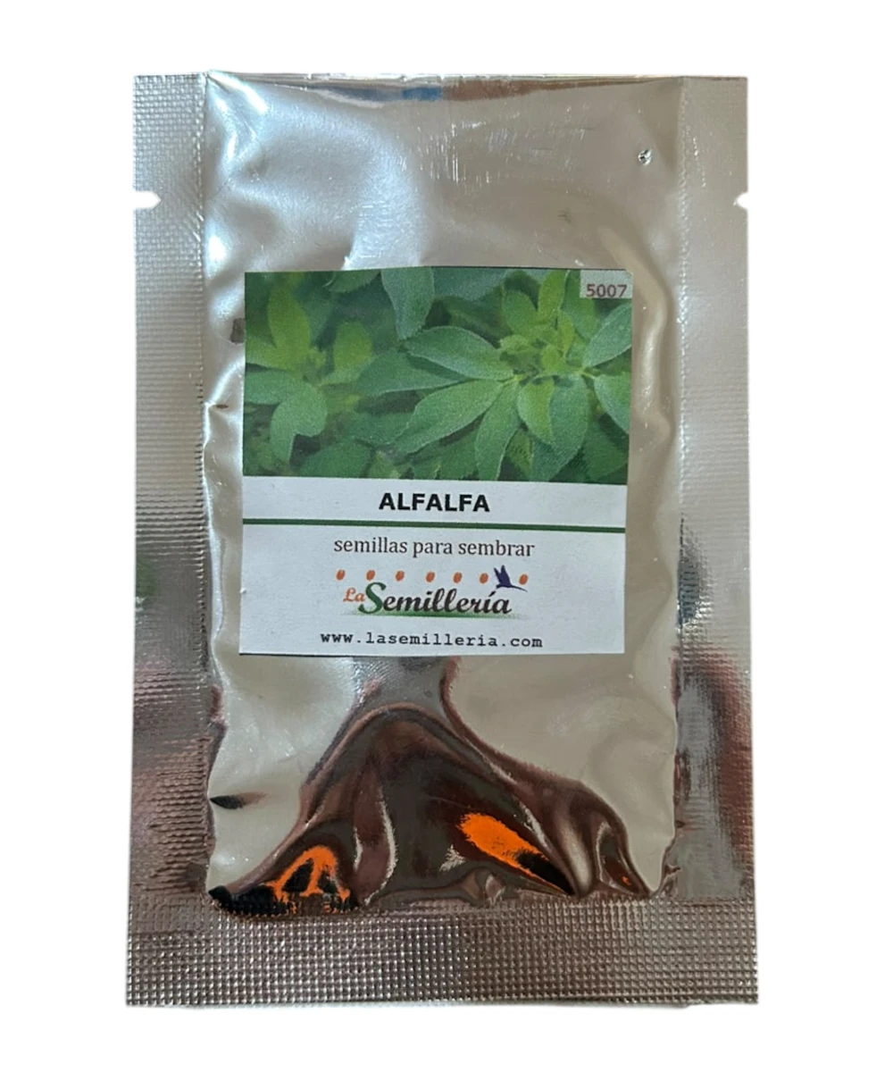 Foto de Alfalfa 10g