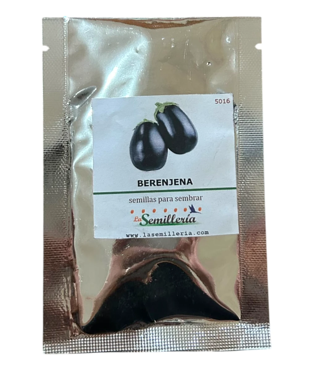Foto de Berenjena  10g
