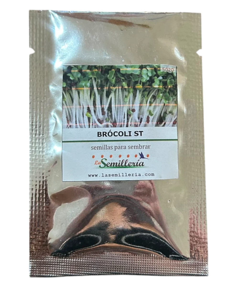 Foto de Brócoli Sin Tratamiento 10g