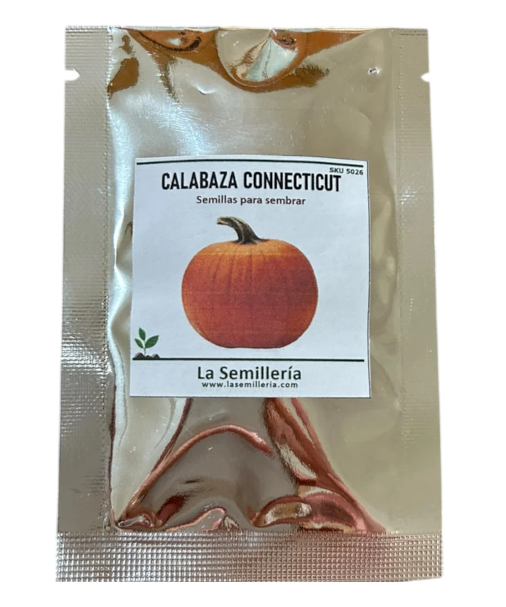 Foto de Calabaza Connecticut 10g