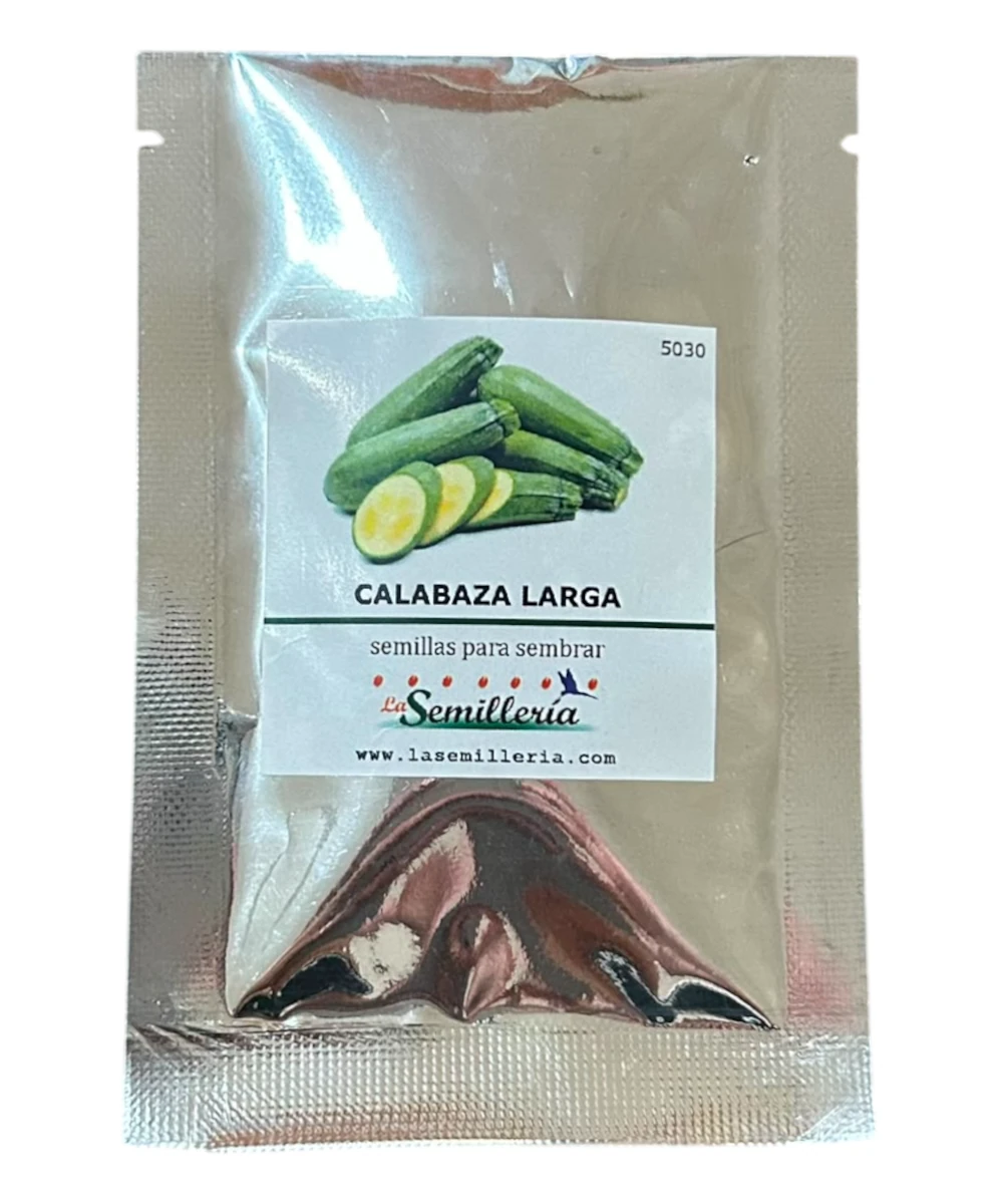 Foto de Calabaza Larga Grey Zucchini  10g