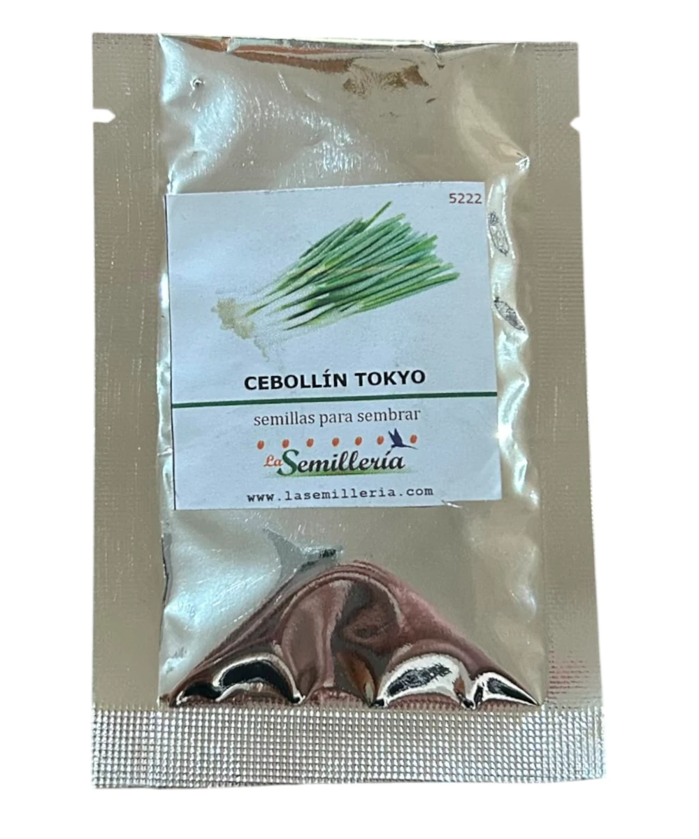 Foto de Cebollin Tokyo 10g