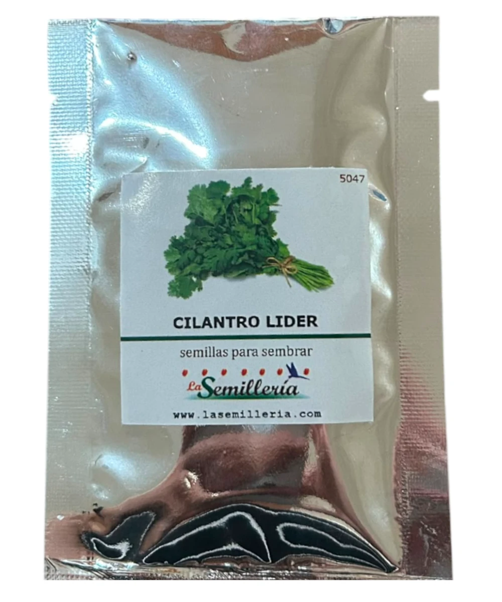 Foto de Cilantro Lider 10g