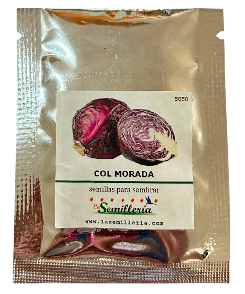 Foto de Col Morada 10g