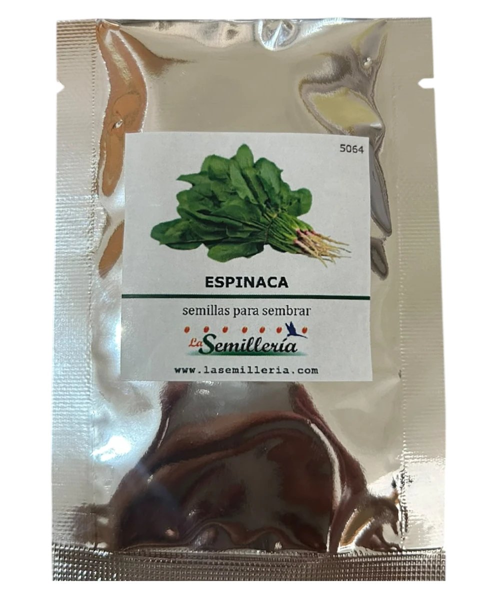 Foto de Espinaca 10g