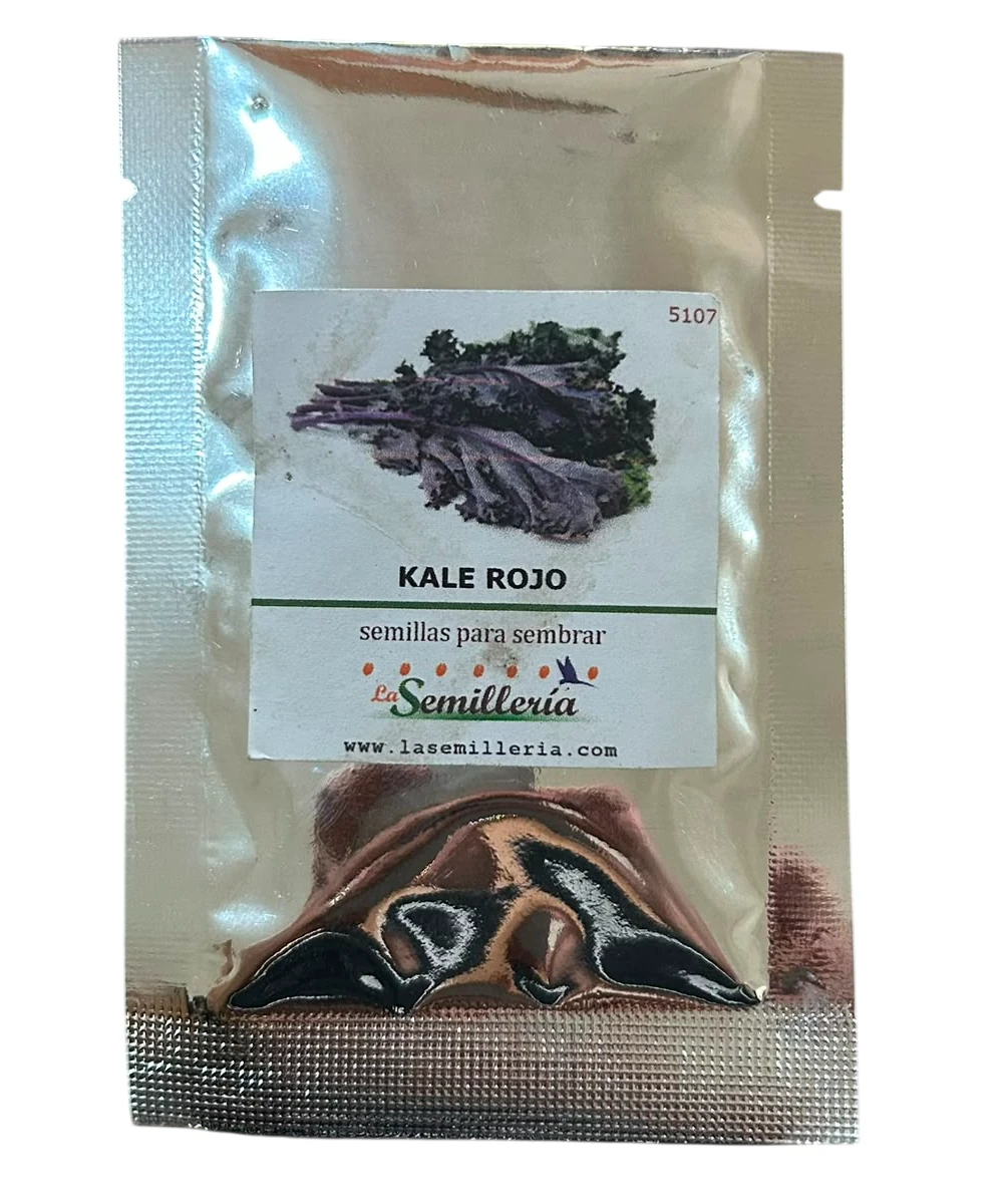 Foto de Kale Rojo 10g