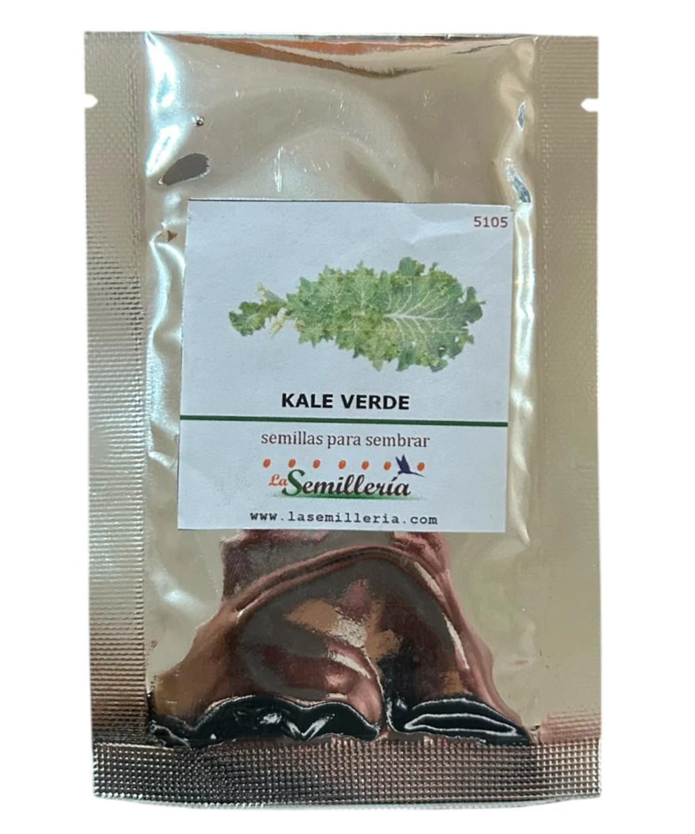 Foto de Kale Verde 10g