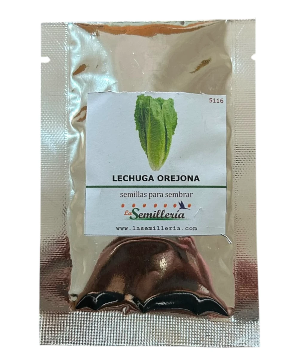 Foto de Lechuga Orejona 10g