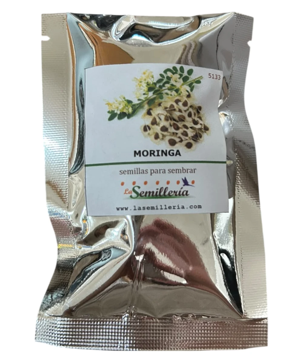 Foto de Moringa 10g