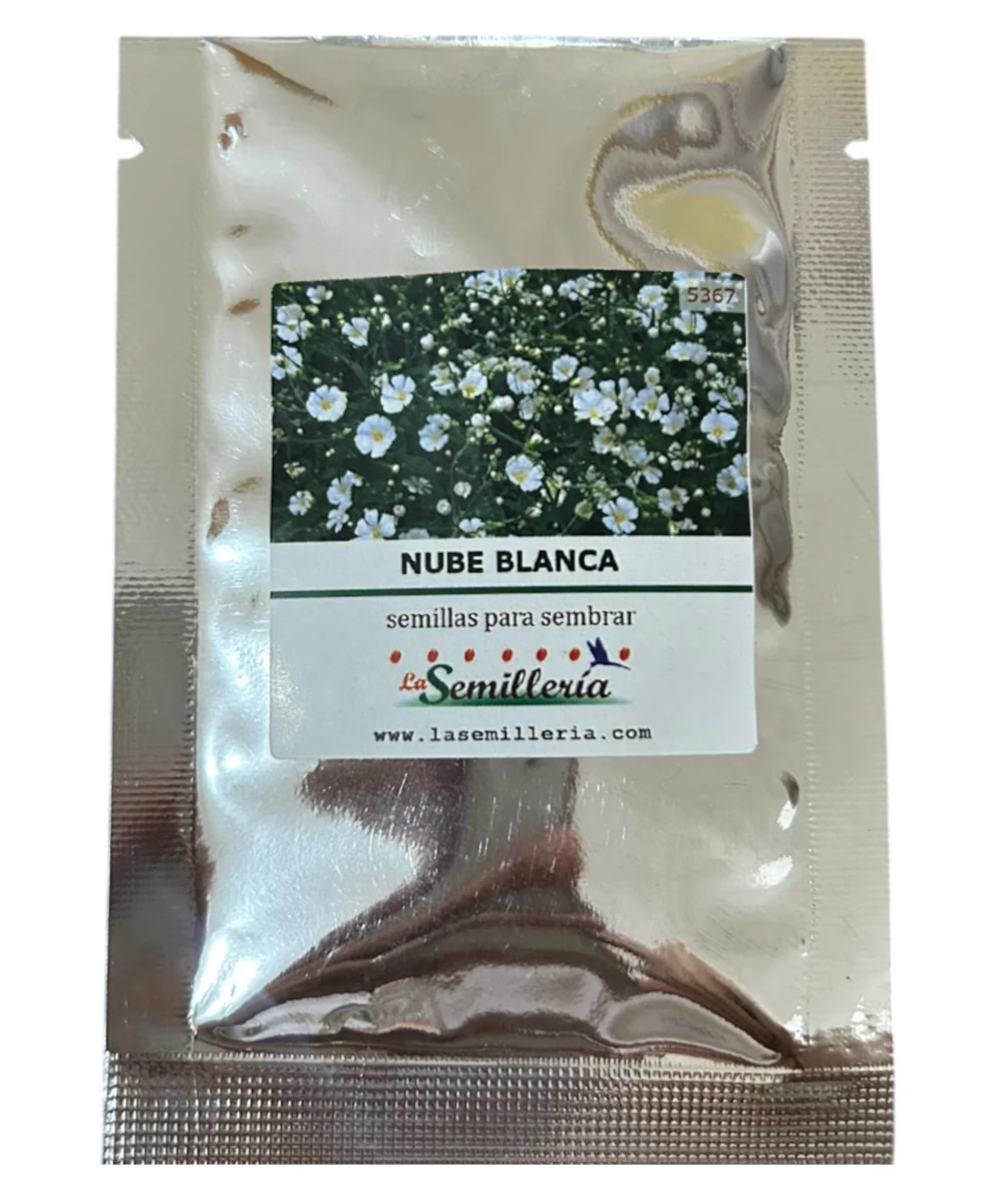 Foto de Nube Blanca 10g