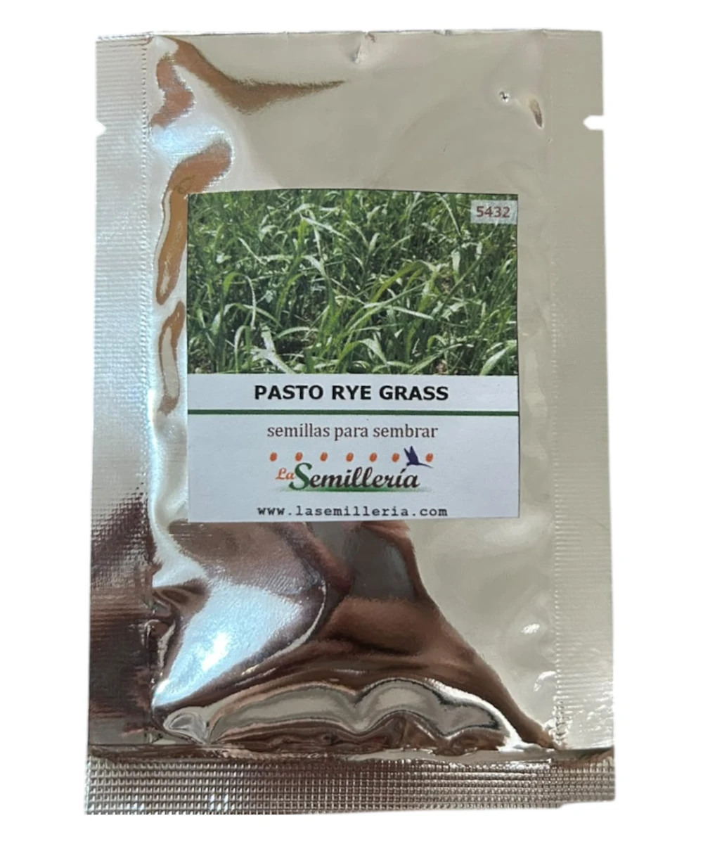 Foto de Pasto Rye Grass Anual 10g