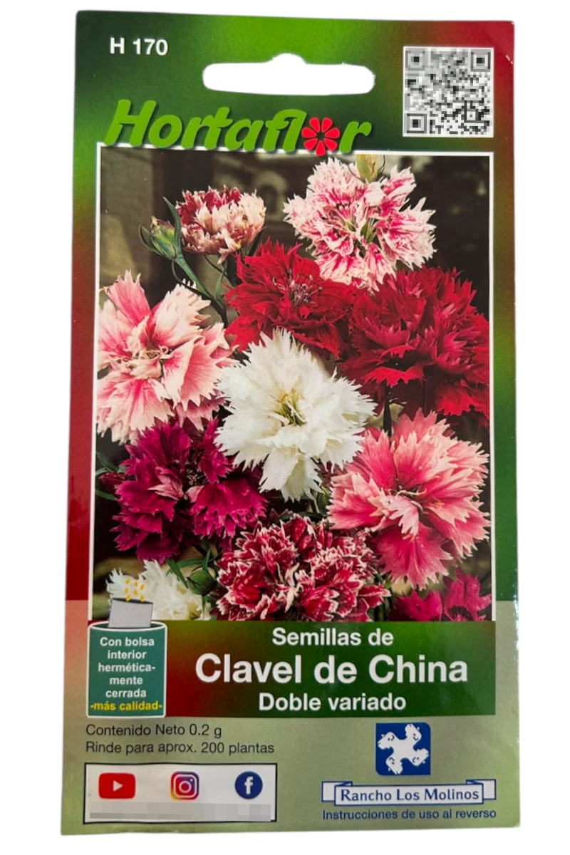 Foto de Semillas de Clavel de China HORTAFLOR