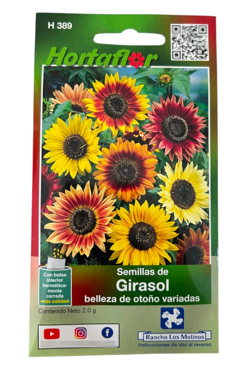 Foto de Semillas de Girasol Belleza de Otoño HORTAFLOR