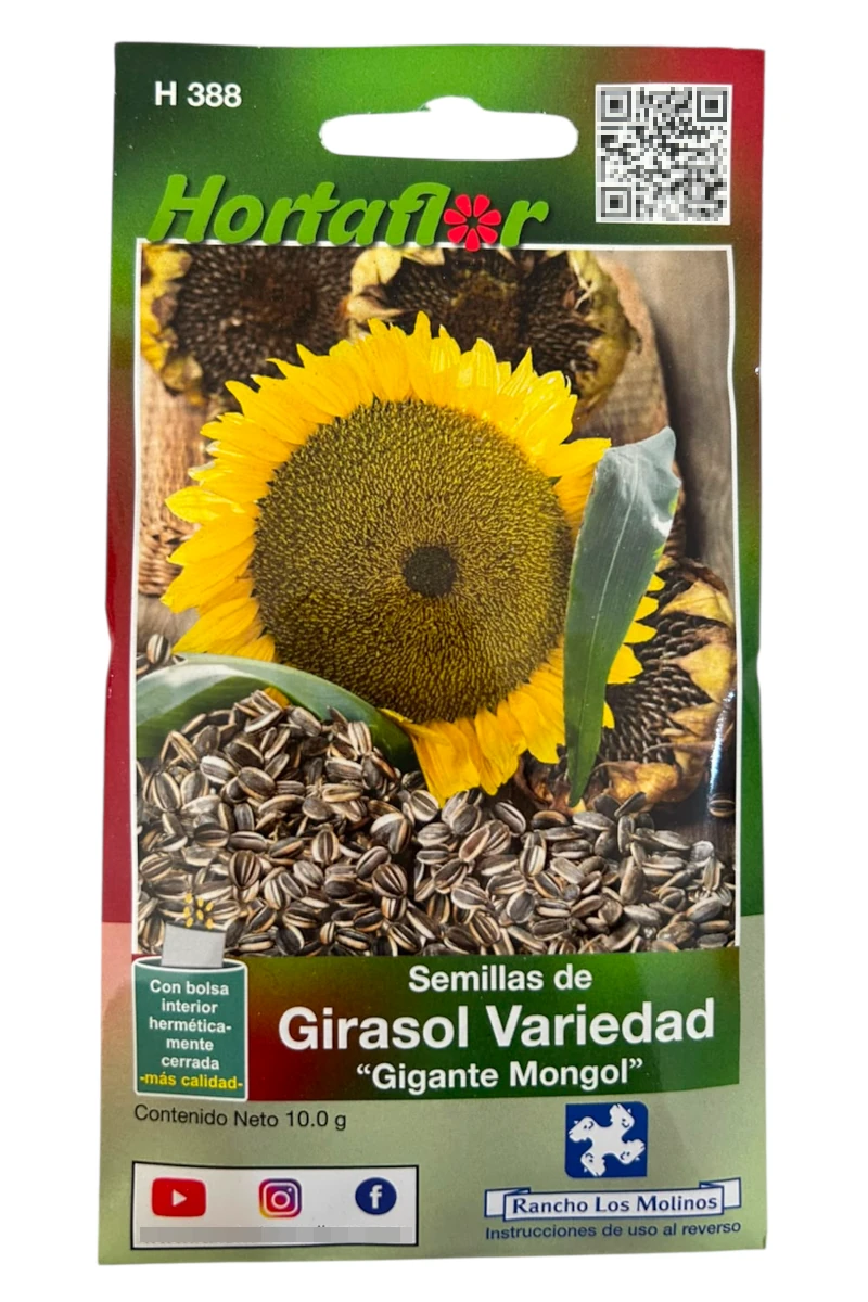 Foto de Semillas de Girasol Gigante Mongol HORTAFLOR