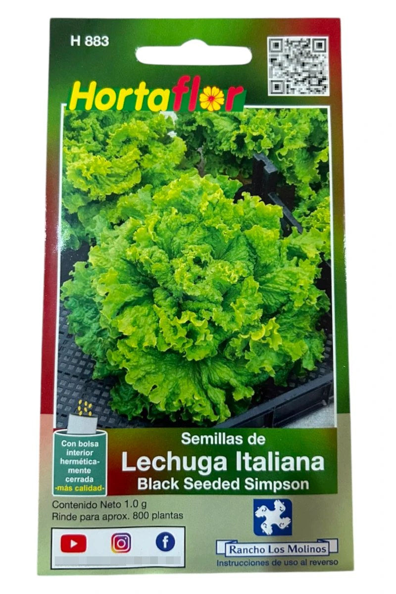 Foto de Semillas de Lechuga Italiana HORTAFLOR