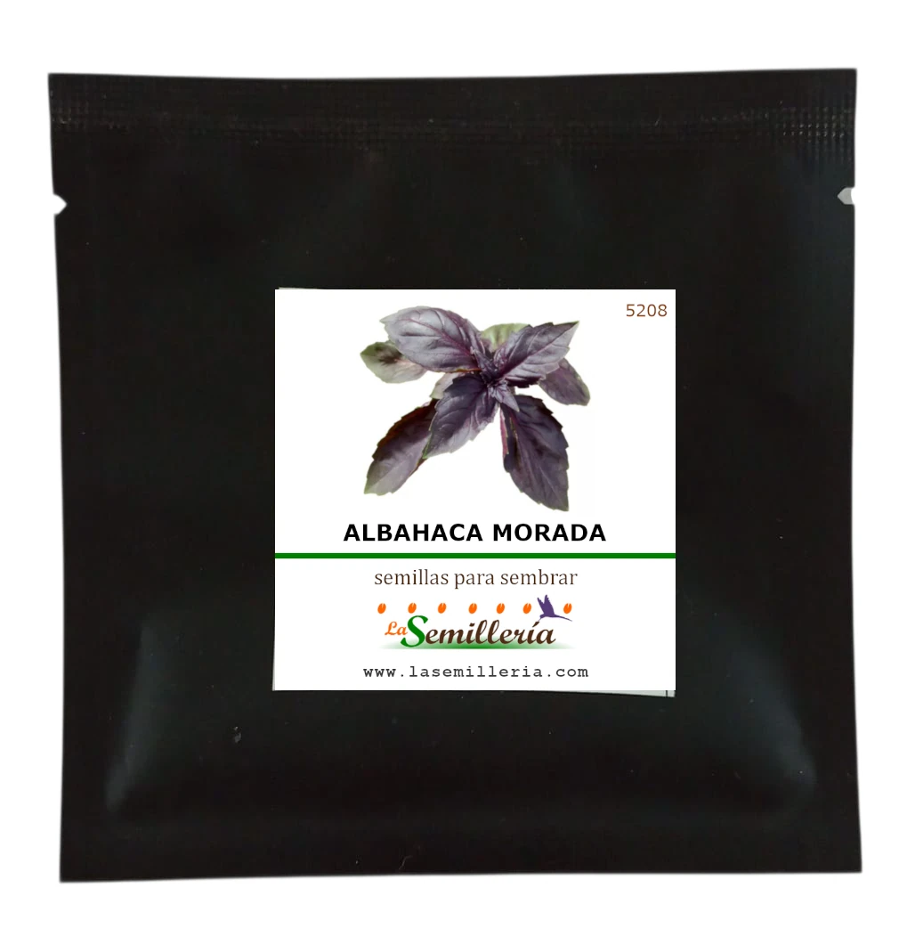Foto de Sobre de Semillas de Albahaca Morada