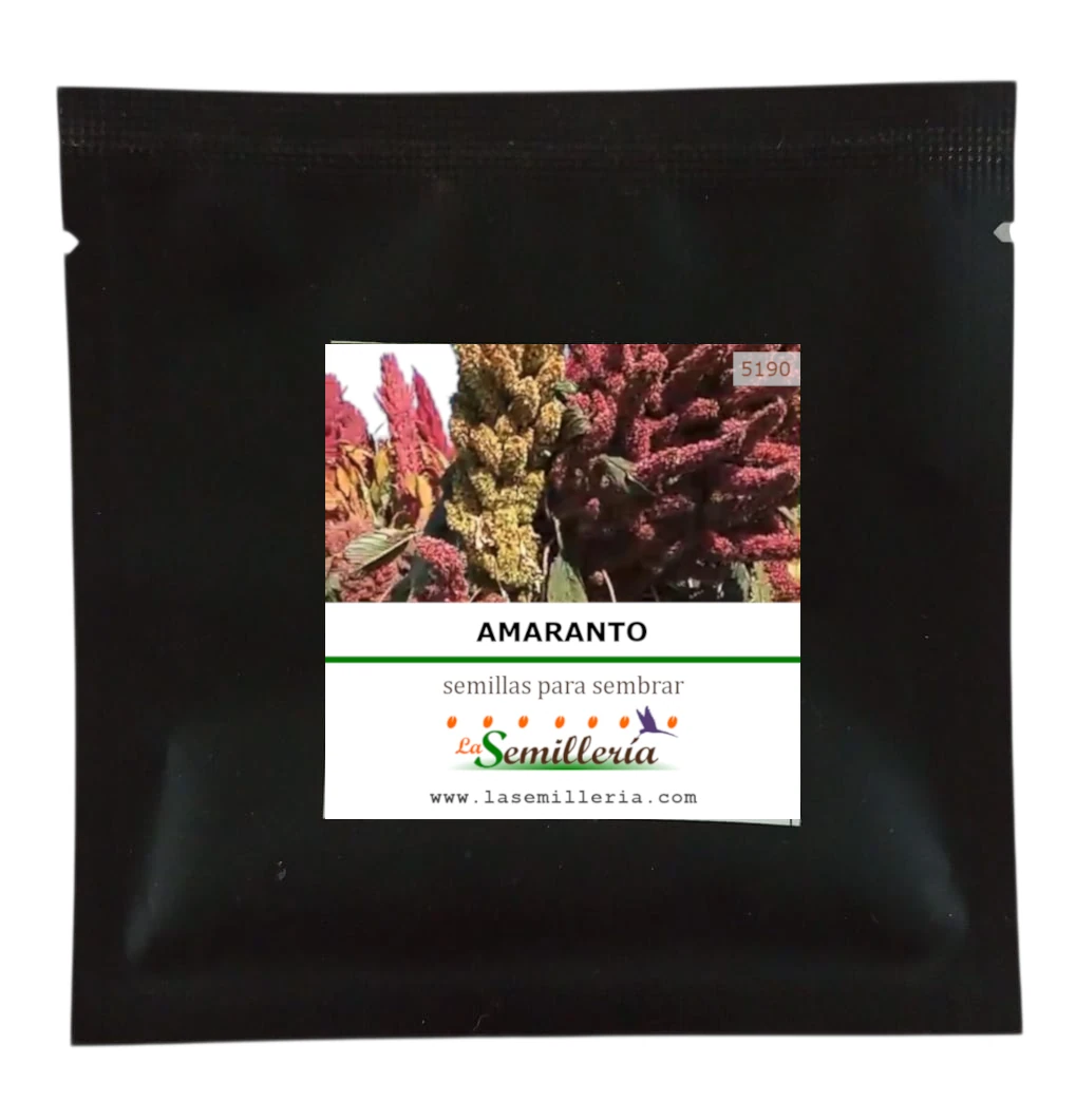 Foto de Sobre de Semillas de Amaranto