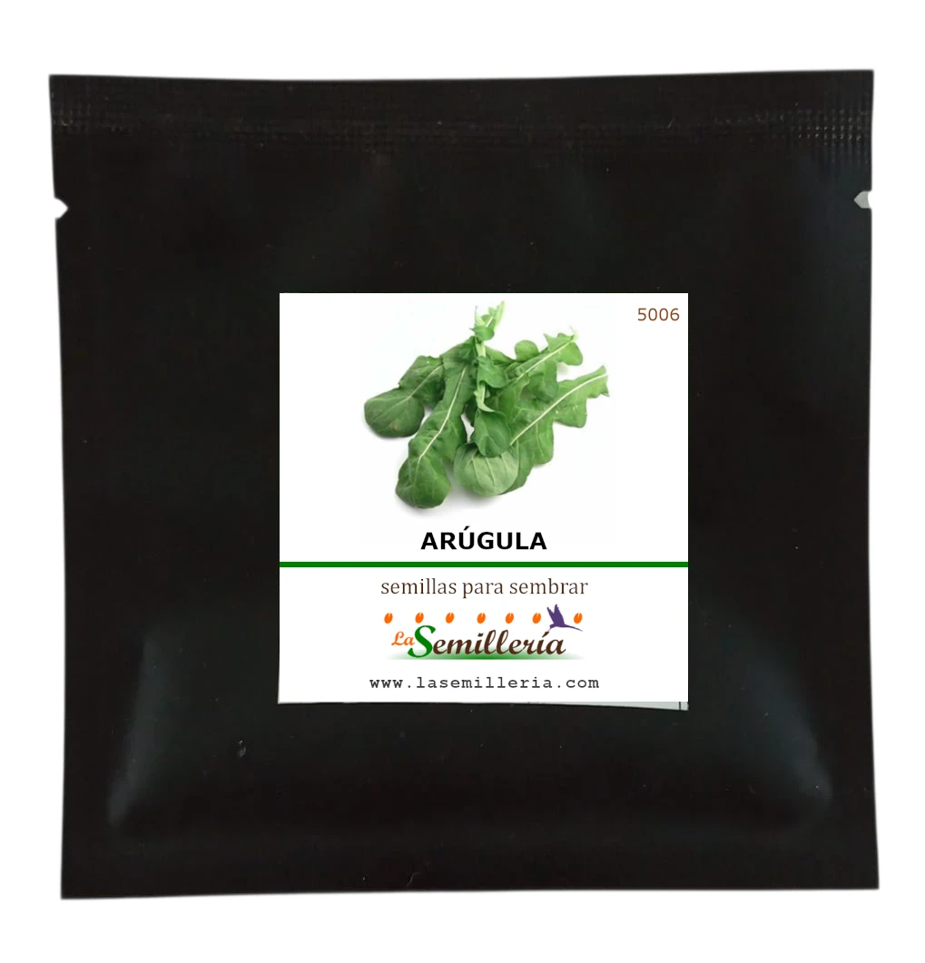 Foto de Sobre de Semillas de Arugula