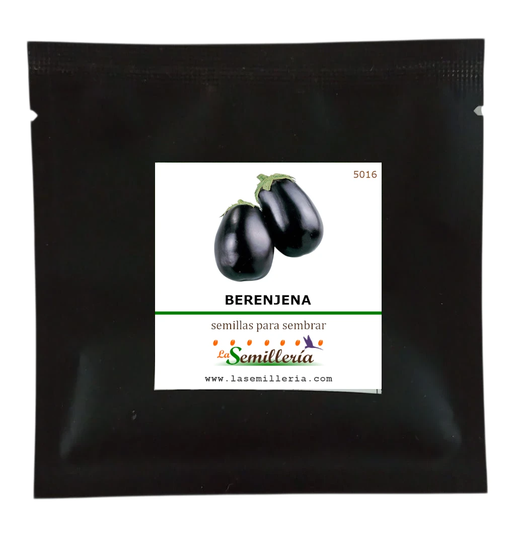 Foto de Sobre de Semillas de Berenjena
