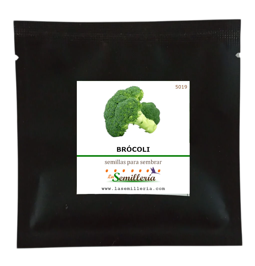 Foto de Sobre de Semillas de Brócoli