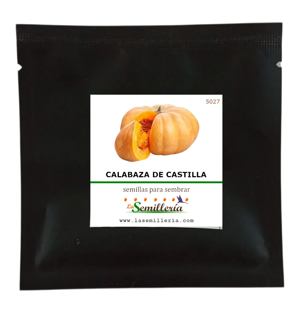 Foto de Sobre de Semillas de Calabaza Dulce