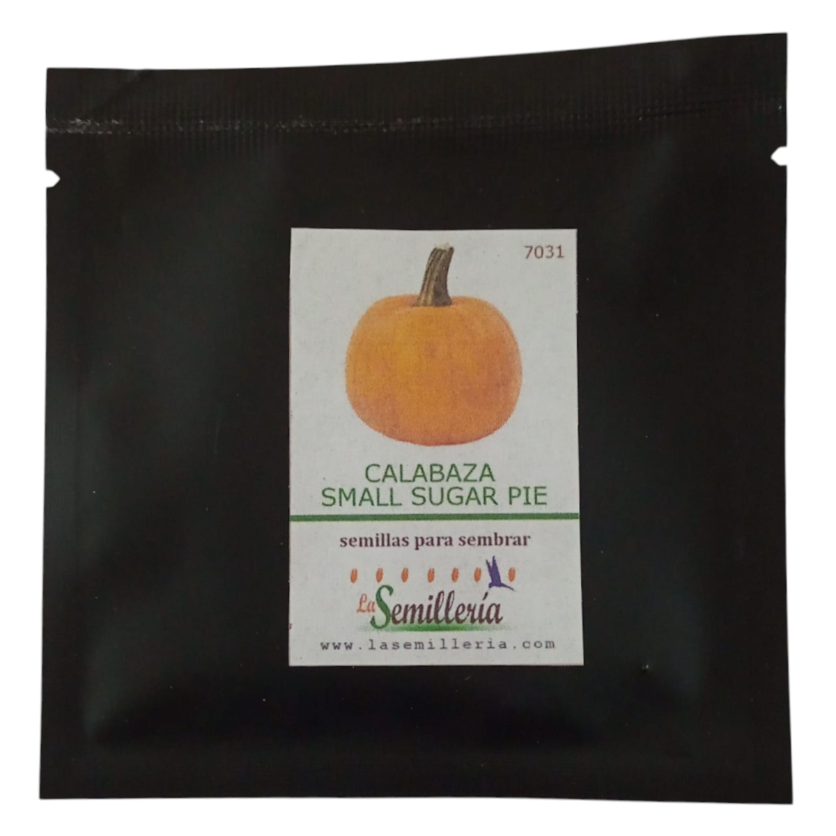 Foto de Sobre de Semillas de Calabaza Small Sugar Pie