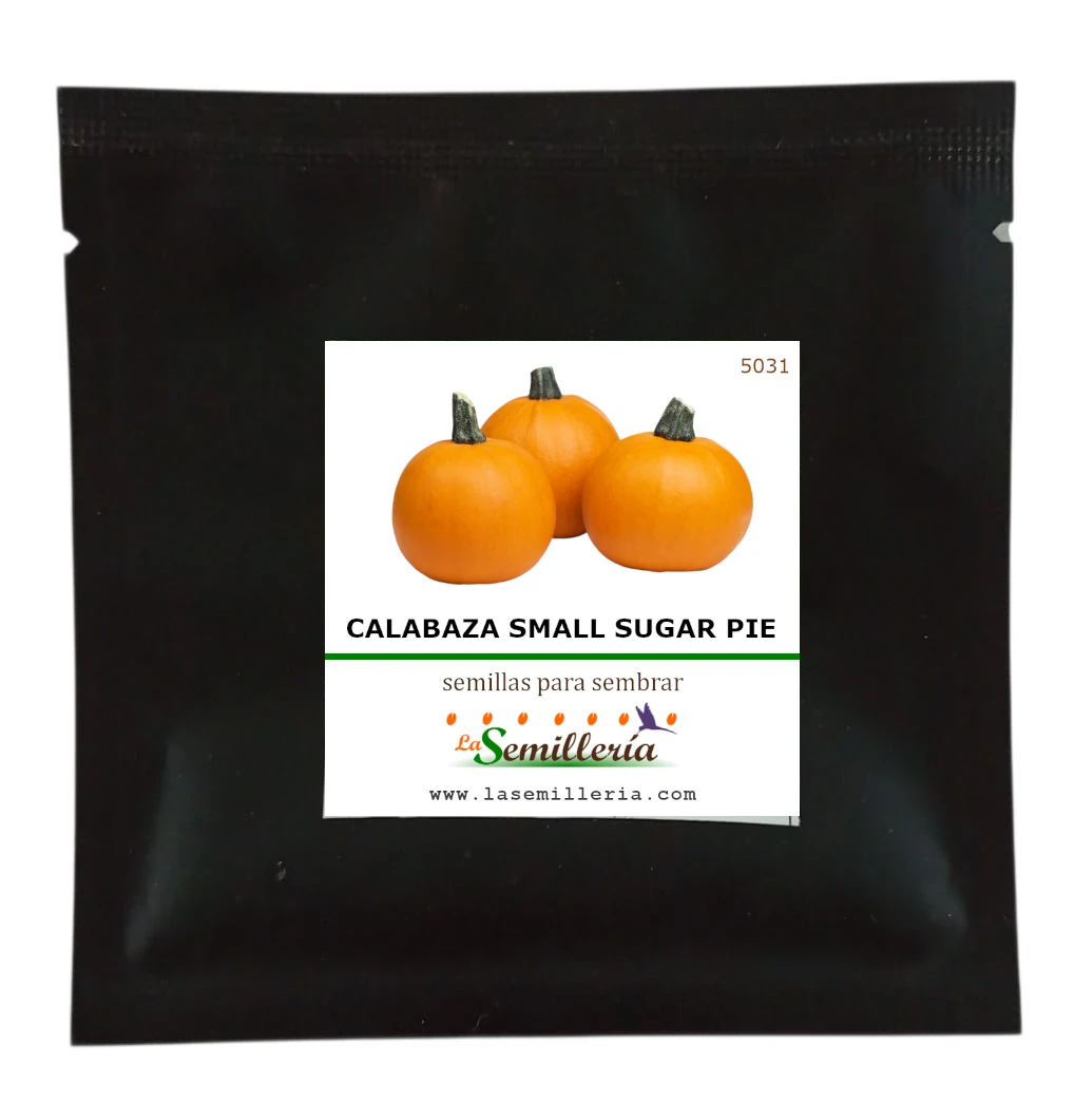 Foto de Sobre de Semillas de Calabaza Small Sugar Pie