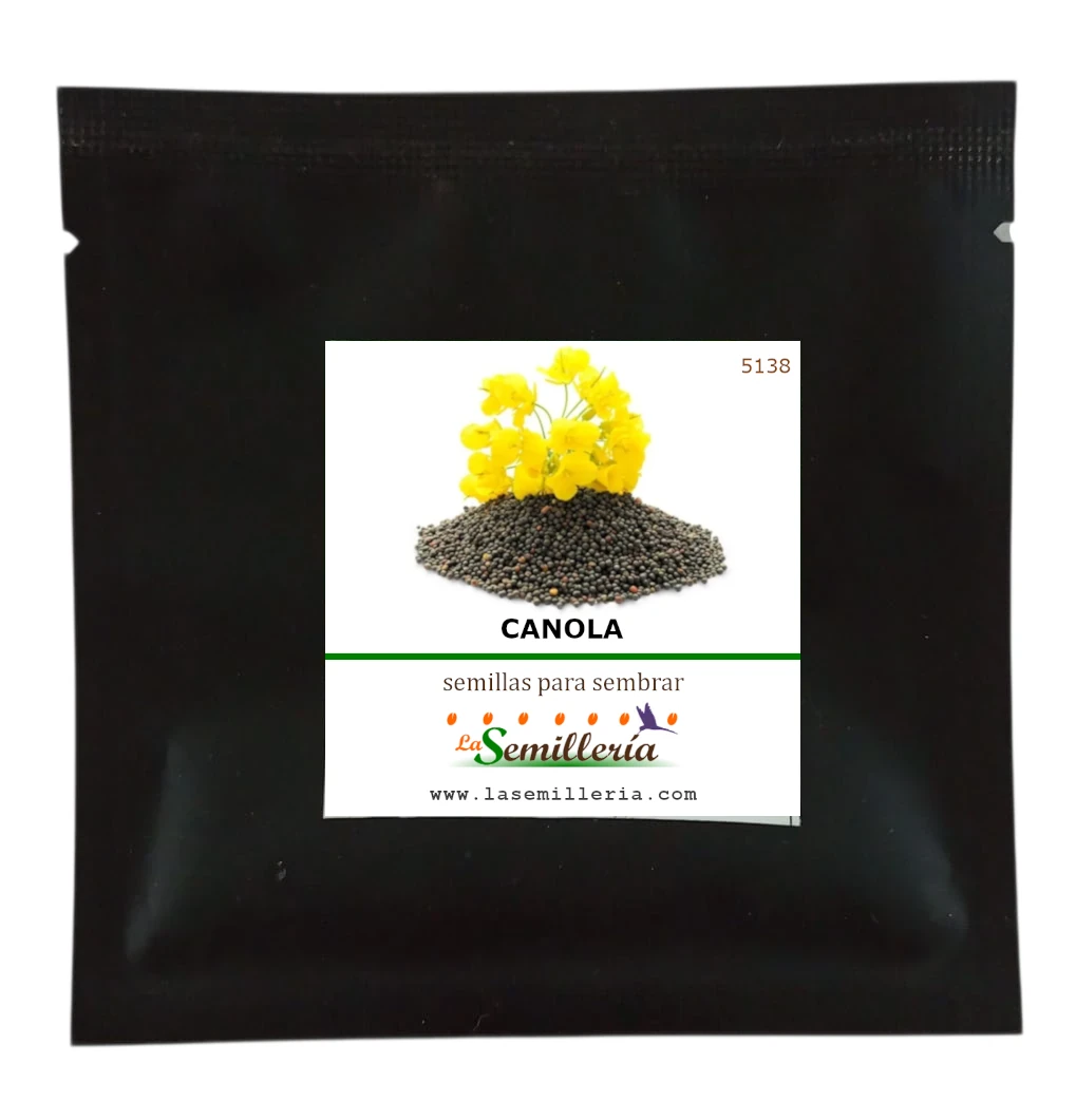 Foto de Sobre de Semillas de Canola