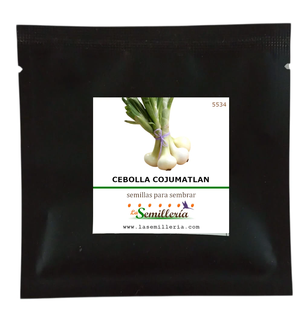 Foto de Sobre de Semillas de Cebolla Cojumatlan