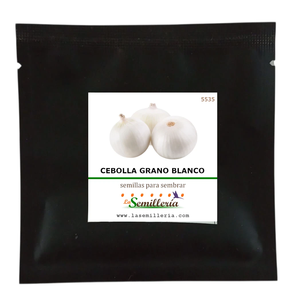 Foto de Sobre de Semillas de Cebolla Grano Blanco