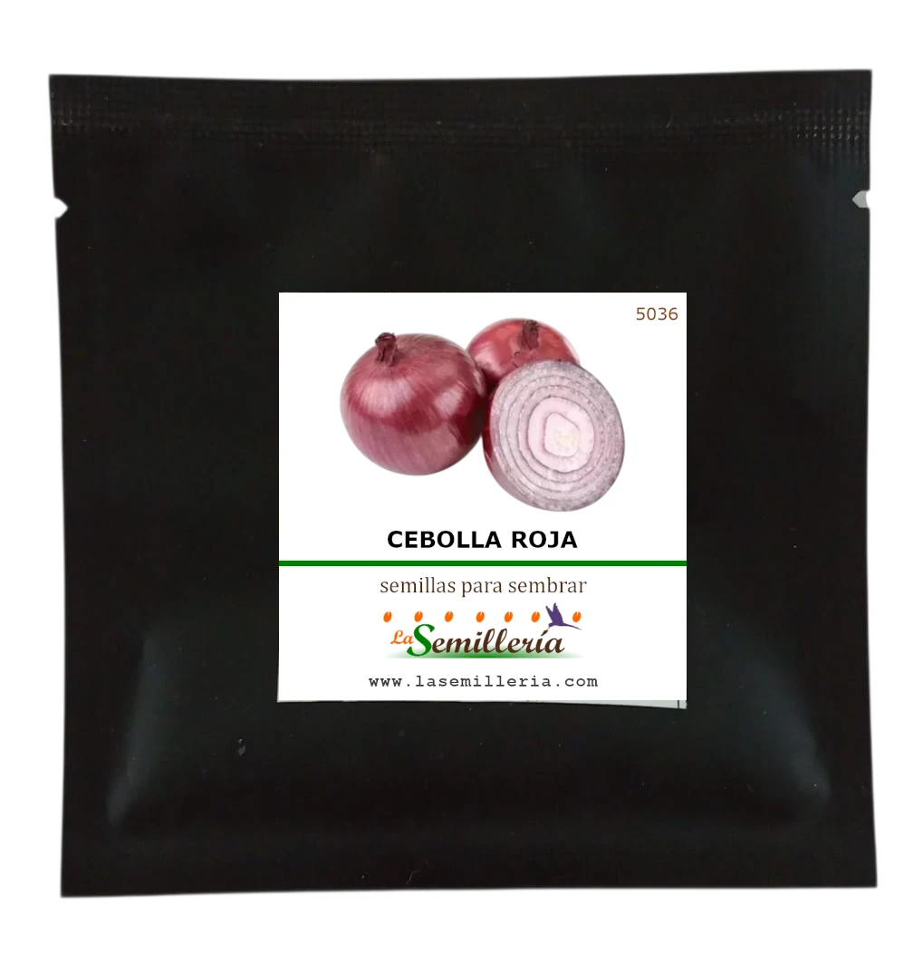 Foto de Sobre de Semillas de Cebolla Roja