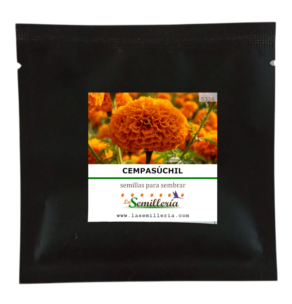 Foto de Sobre de Semillas de Cempasúchil