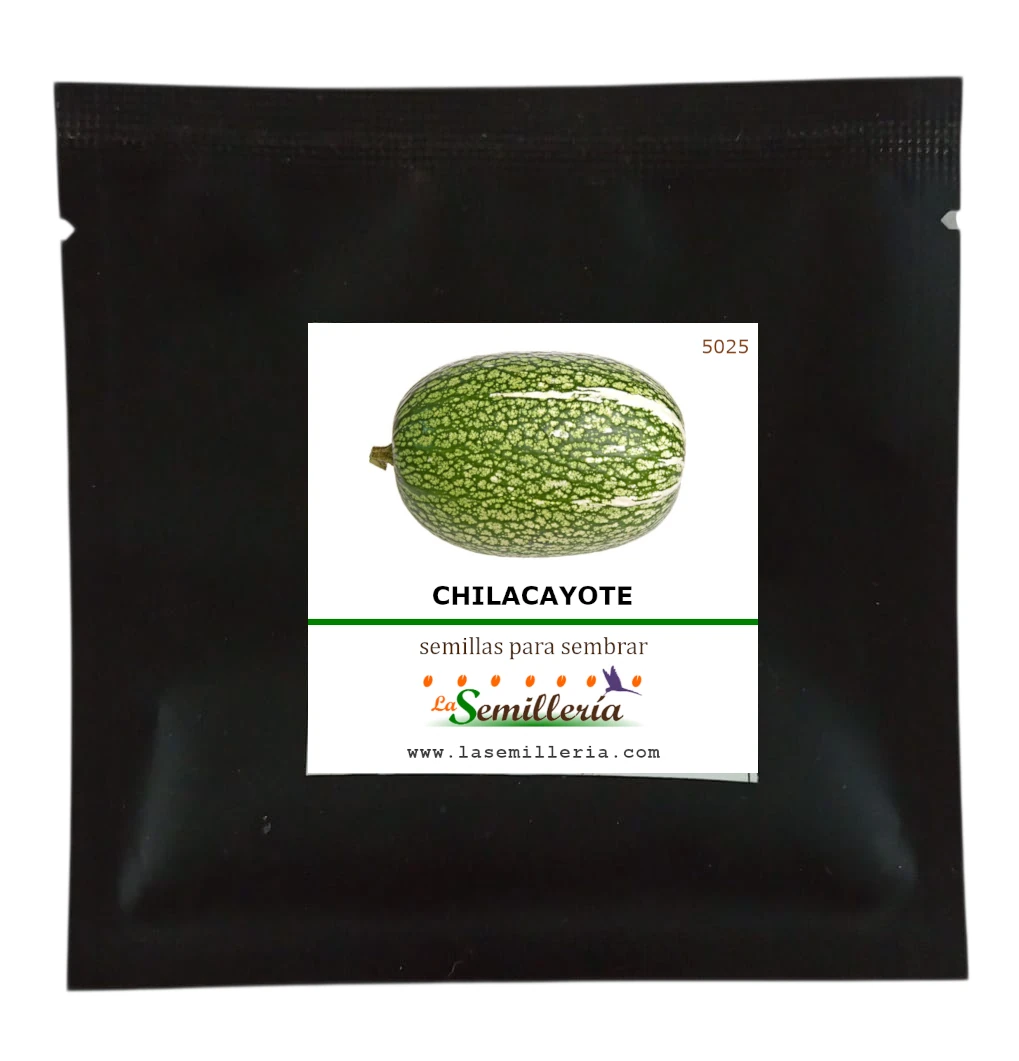 Foto de Sobre de Semillas de Chilacayote