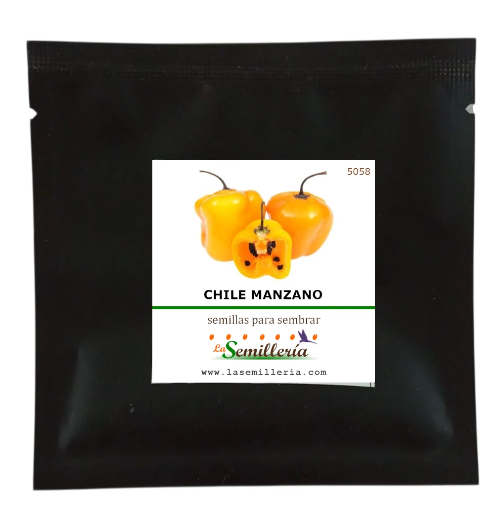 Foto de Sobre de Semillas de Chile Manzano