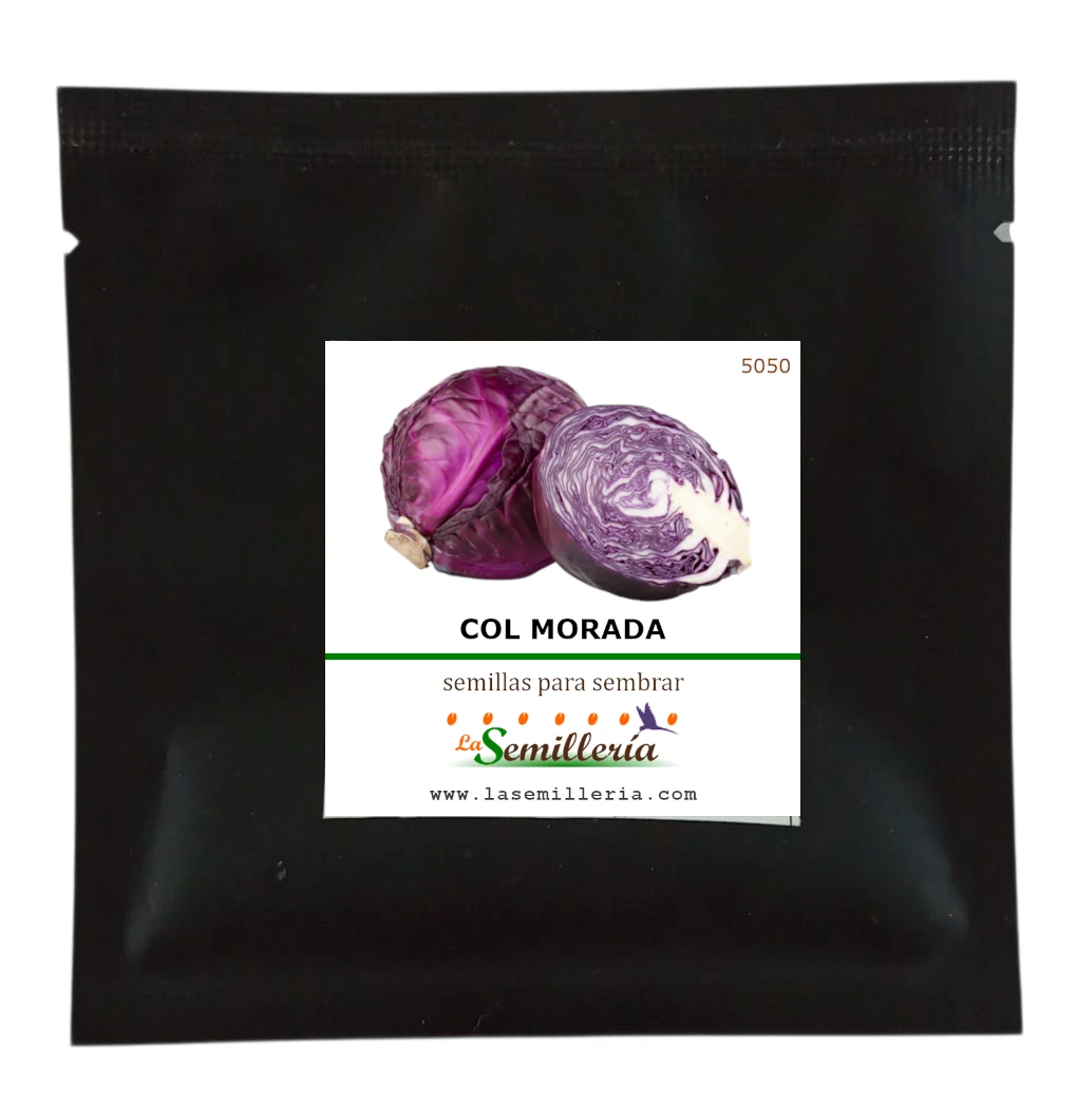 Foto de Sobre de Semillas de Col Morada