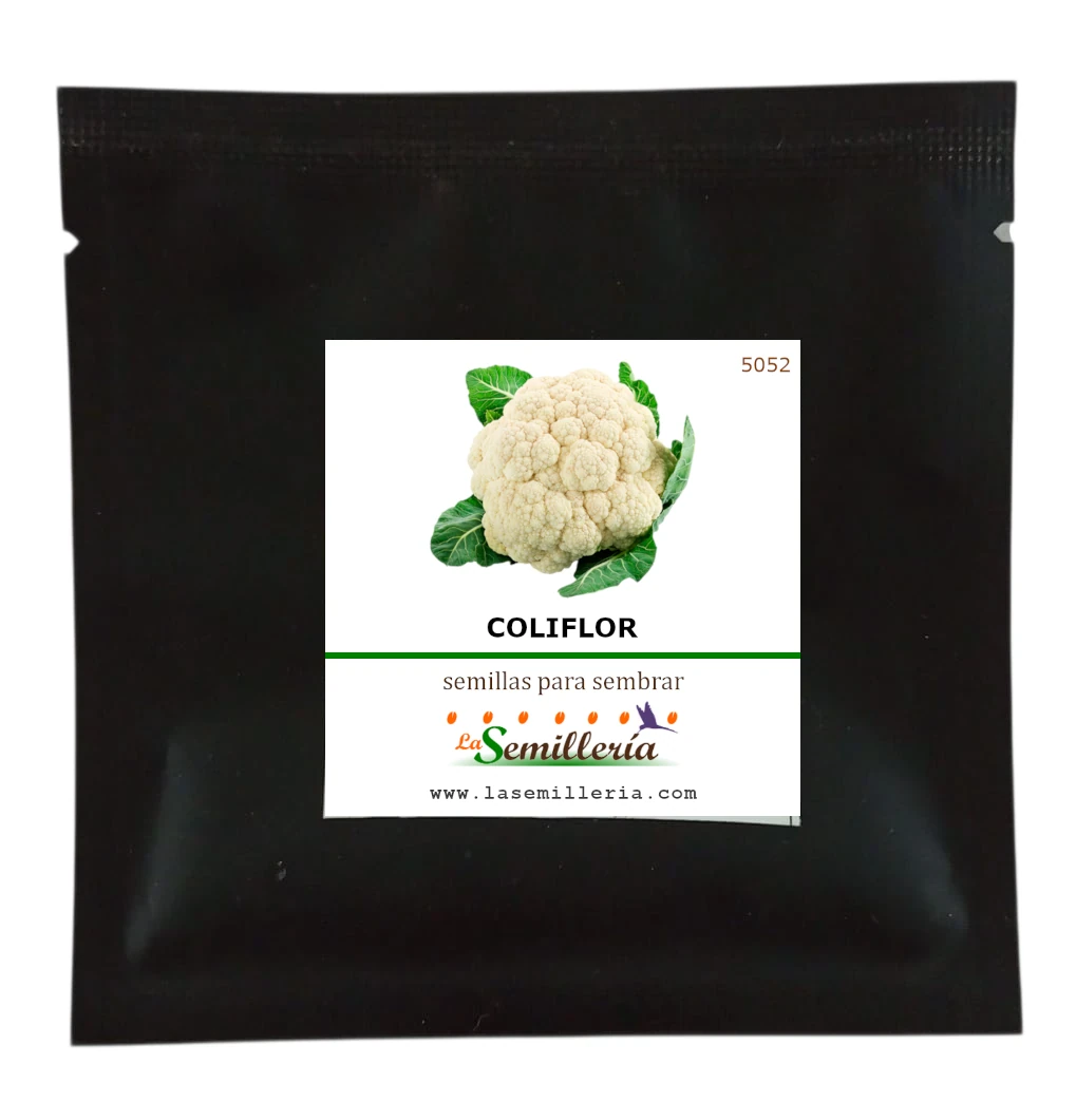 Foto de Sobre de Semillas de Coliflor