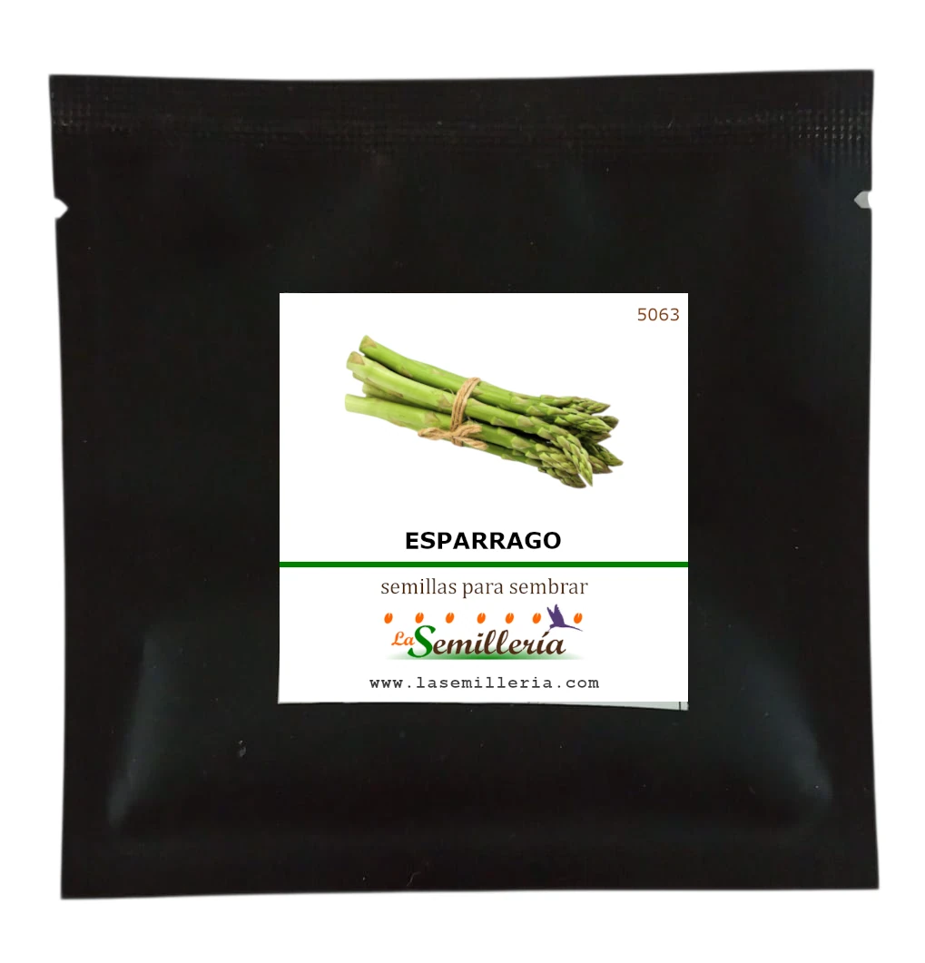 Foto de Sobre de Semillas de Esparrago