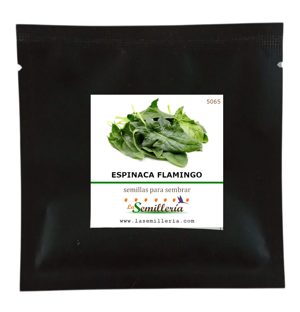 Foto de Sobre de Semillas de Espinaca Flamingo