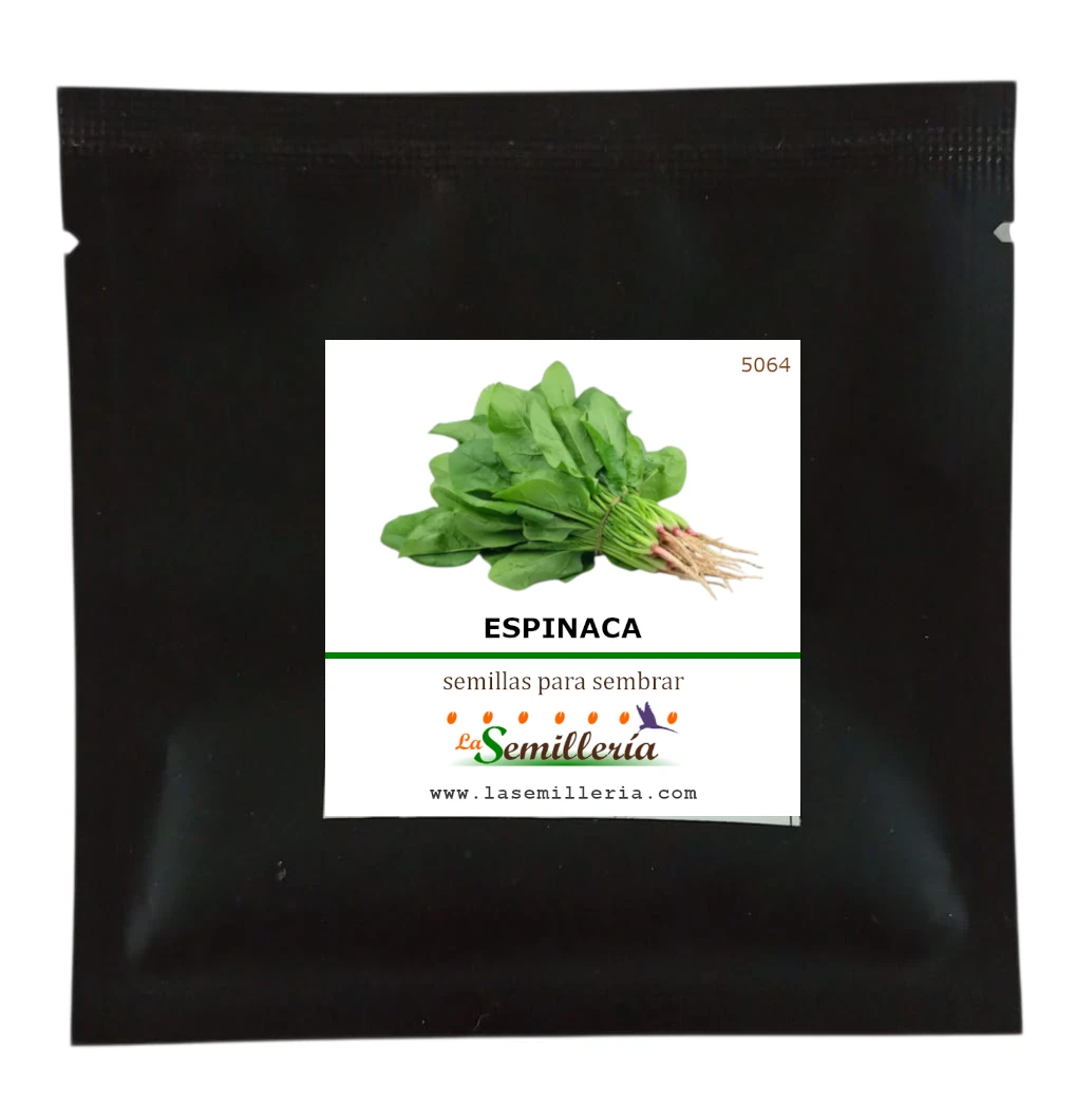 Foto de Sobre de Semillas de Espinaca