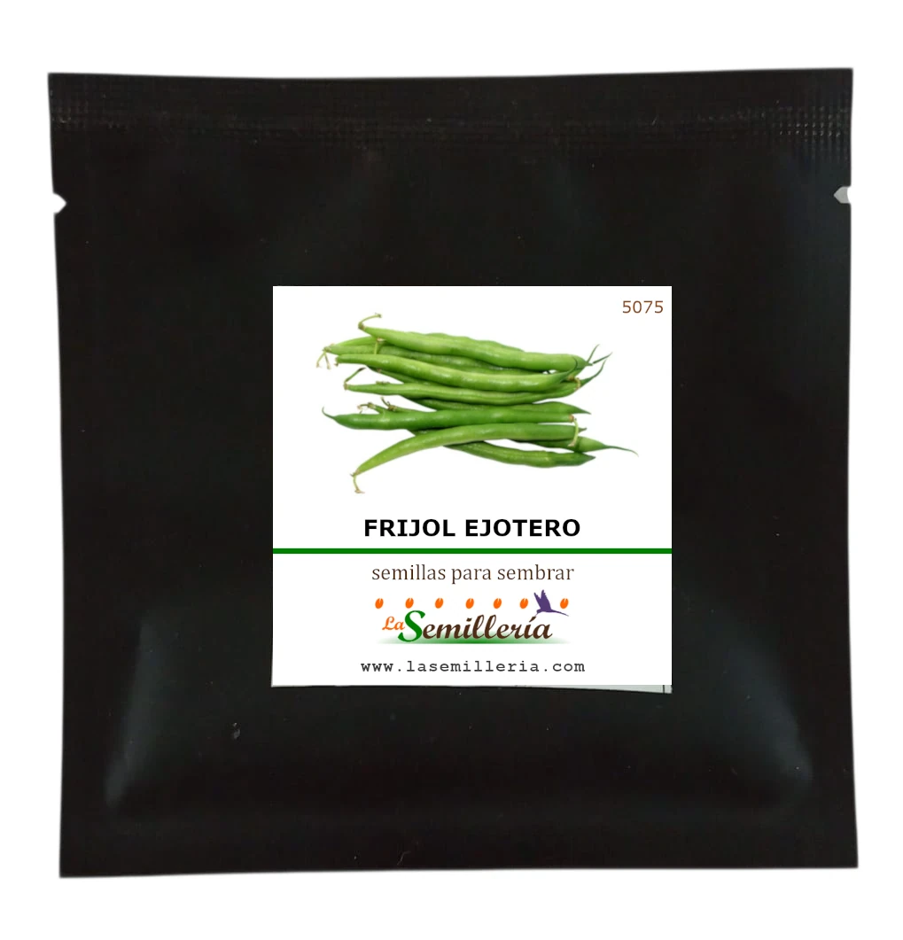Foto de Sobre de Semillas de Frijol Ejotero