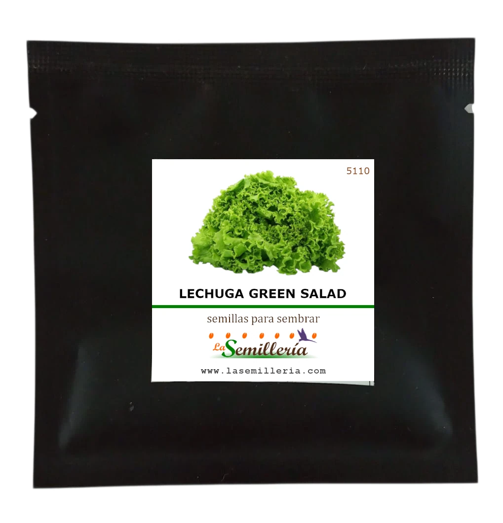 Foto de Sobre de Semillas de Lechuga Green Salad Bowl