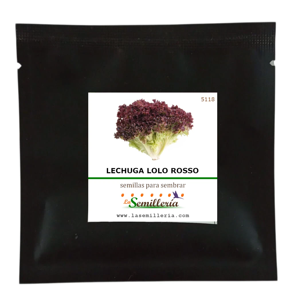 Foto de Sobre de Semillas de Lechuga Lolo Rosso