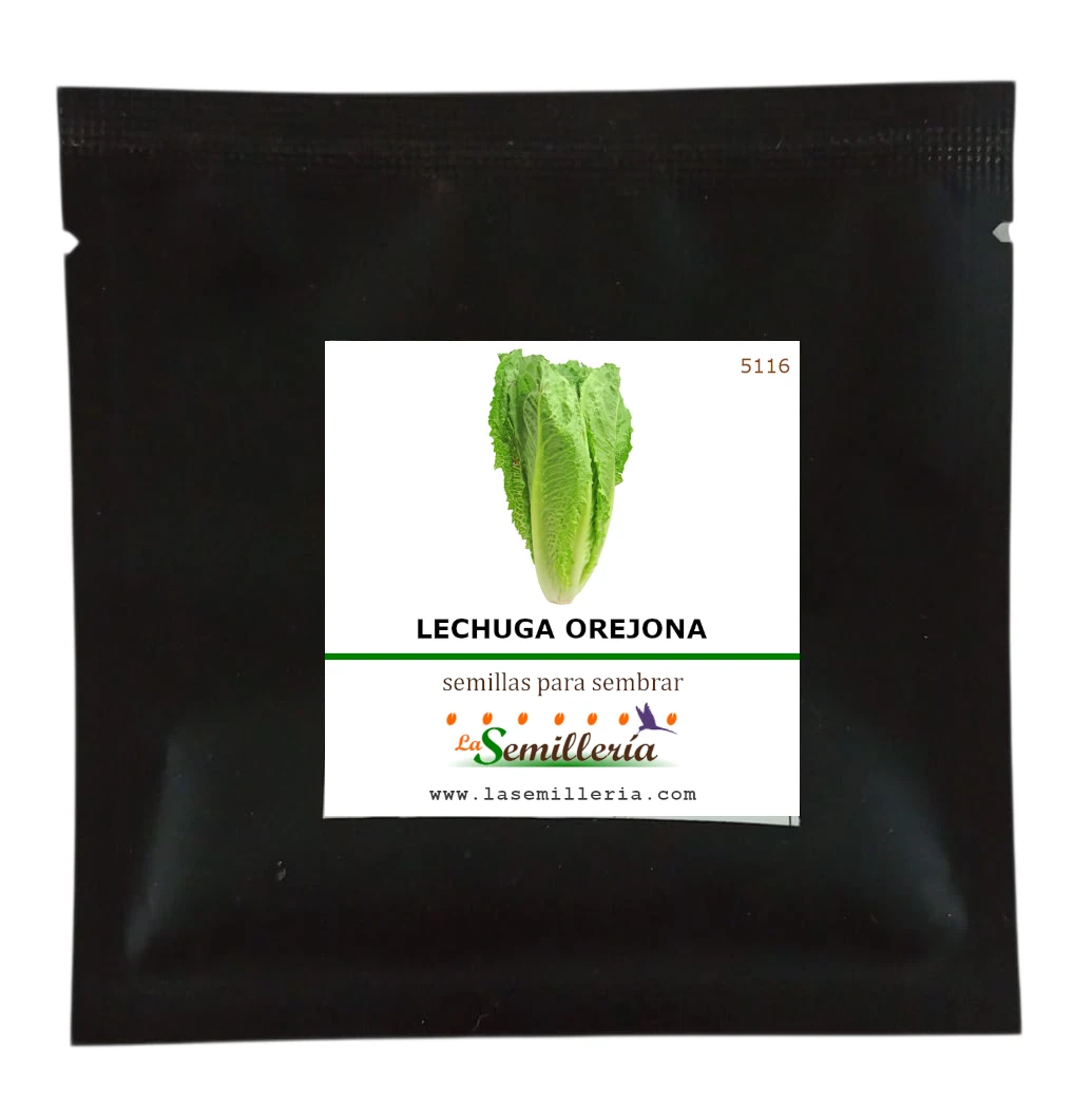 Foto de Sobre de Semillas de Lechuga Orejona