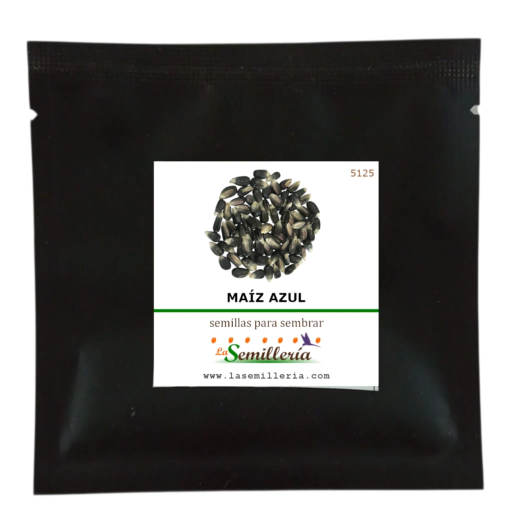 Foto de Sobre de Semillas de Maíz Azul