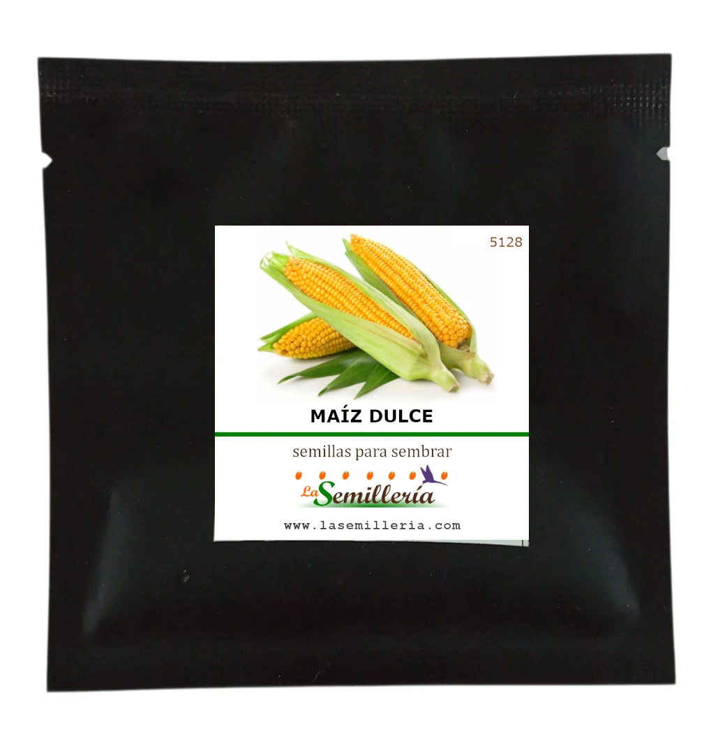 Foto de Sobre de Semillas de Maíz Dulce